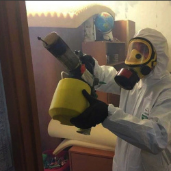 Уничтожение клопов в квартире. Топки